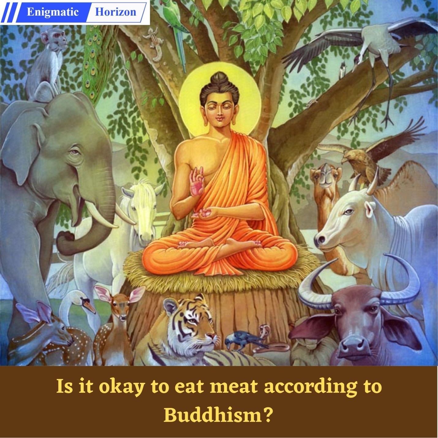 Is it okay to eat meat, according to Buddhism? Enigmatic Horizon