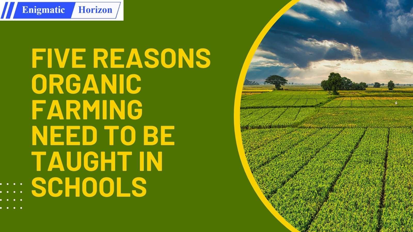 5 Reasons Organic Farming need to be taught in Schools Enigmatic Horizon