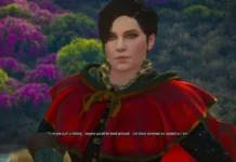 Seven Witcher 3 characters who deserved better endings Syanna- tragic characters in Witcher 3