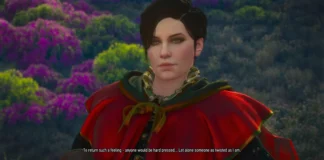 Seven Witcher 3 characters who deserved better endings Syanna- tragic characters in Witcher 3
