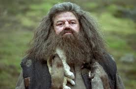 Hagrid- chaotic good